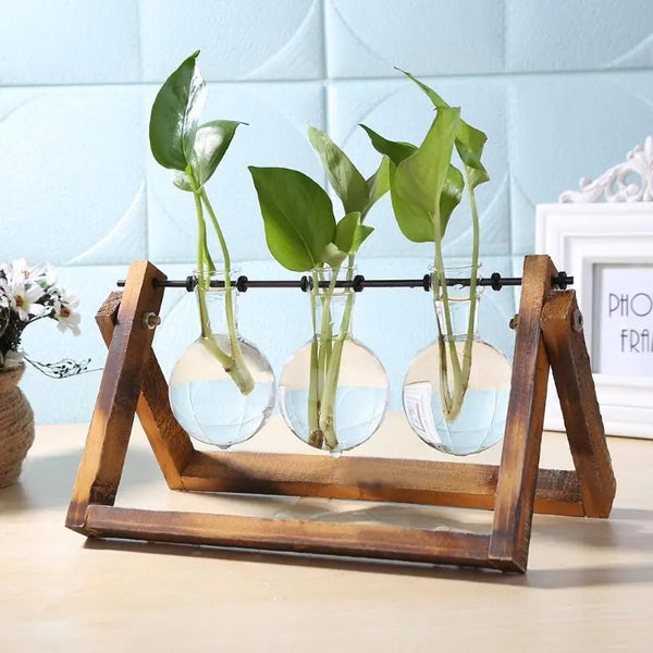 Glass and Wood Vase Planter Table Desktop - HavenHome