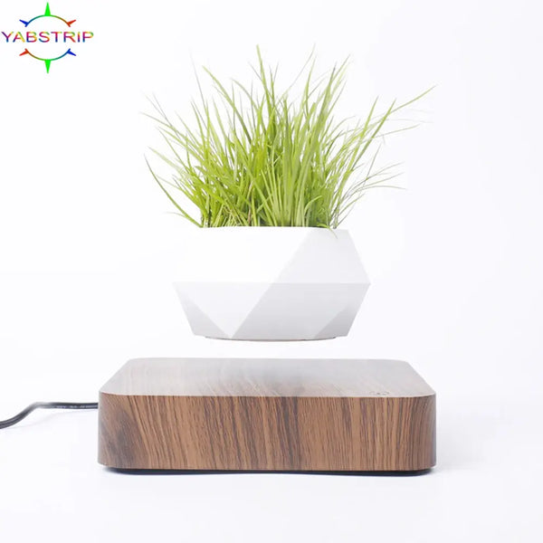 Potted Plant Home Desk Decor - HavenHome