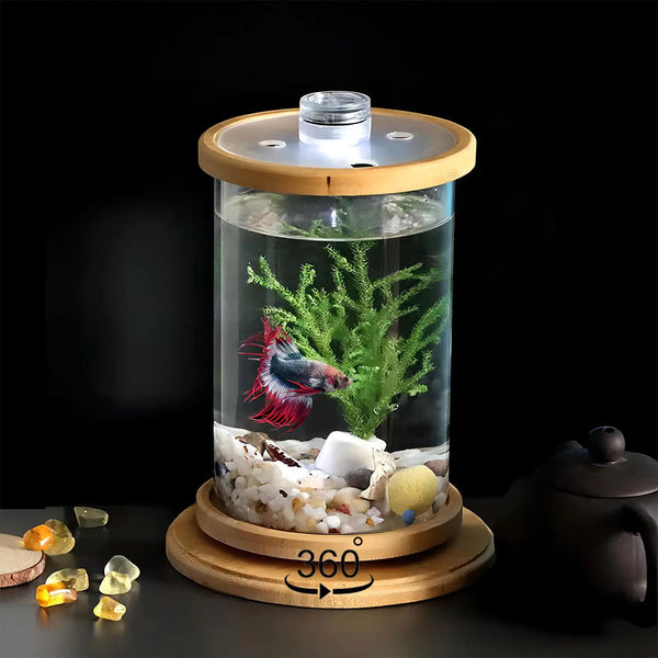 Haven Home Small Betta Fish Tank Kit with LED, featuring a betta fish in a stylish round aquarium.